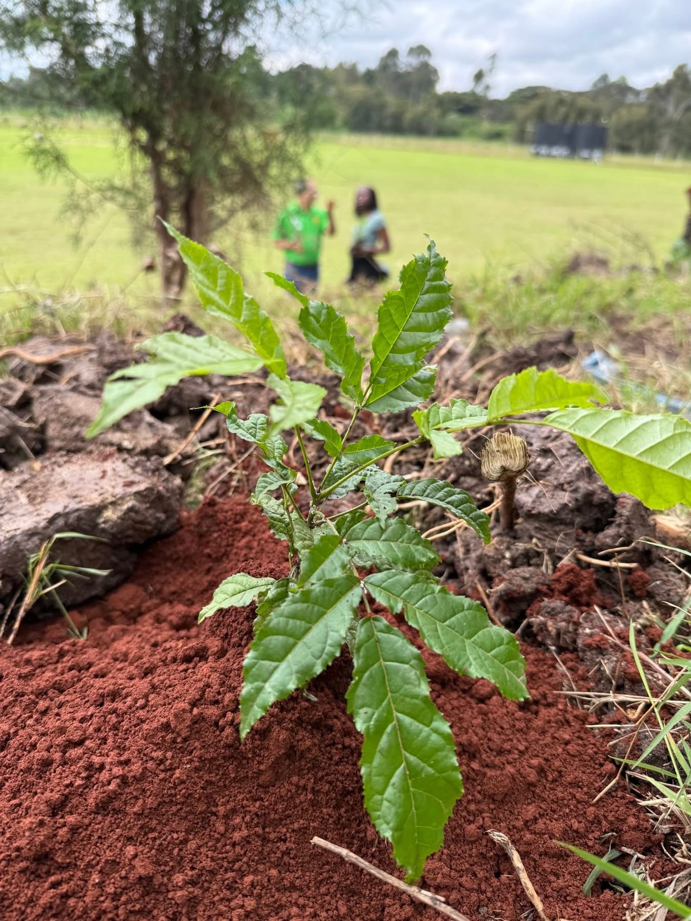 Environmental initiatives